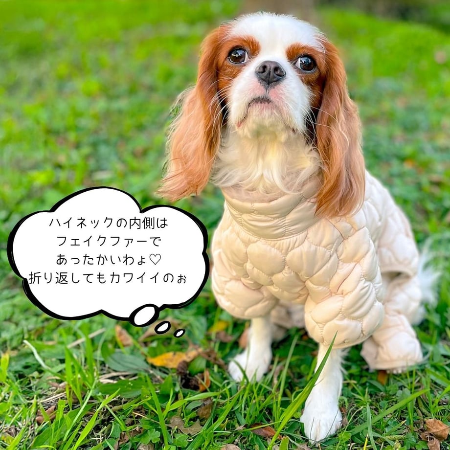 674930c3835a6702acb0eff9