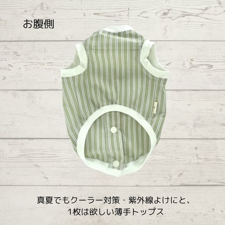 シュービーンズオリジナル　先染めストライプバックオープントップス