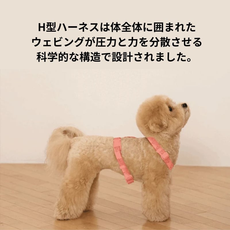 likalika coddly toy H型ハーネス | shubeans_petstyle