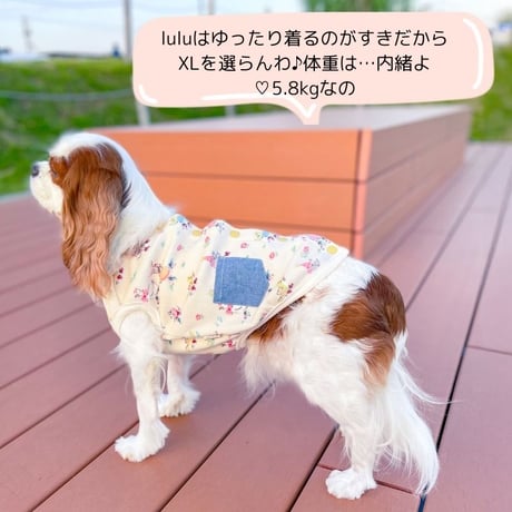 SHUBEANSオリジナル バックオープンデニム ポケット ベスト