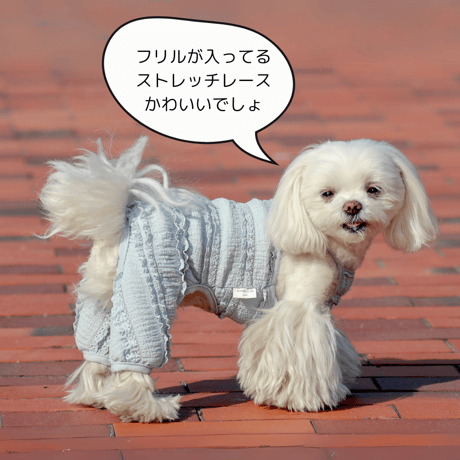 ストレッチレースキャミオール