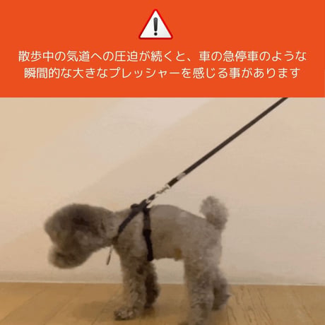 minimizクレヨンフィットハーネス