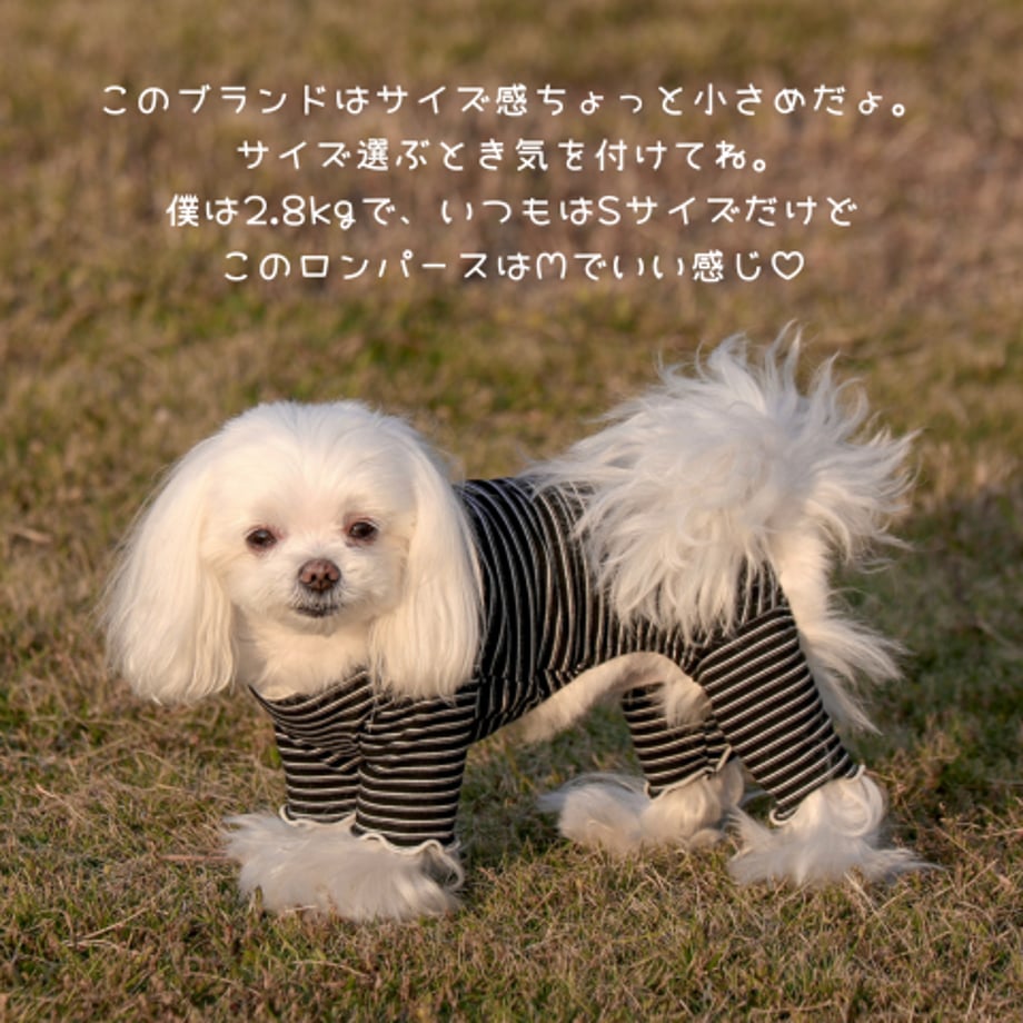 68fb32bb5816573845e00da5