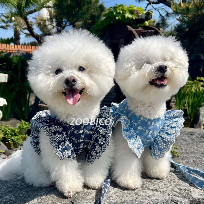 デニムフラワー ハーネス&リードSET | shubeans_petstyle STORE