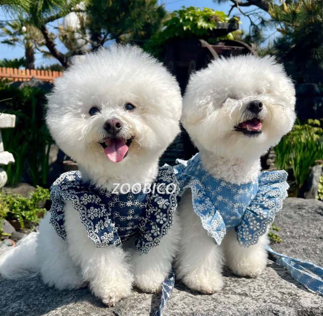 デニムフラワー ハーネス&リードSET | shubeans_petstyle STORE