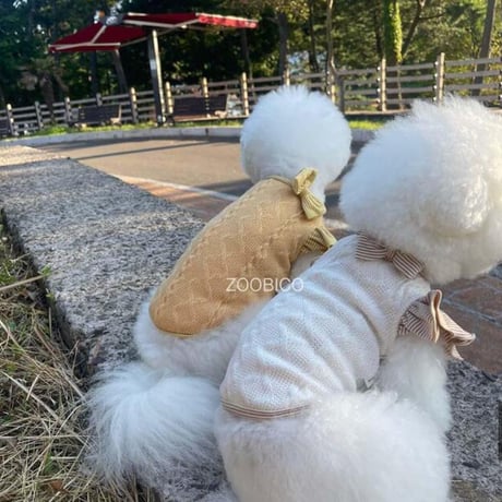 フリル袖トップス