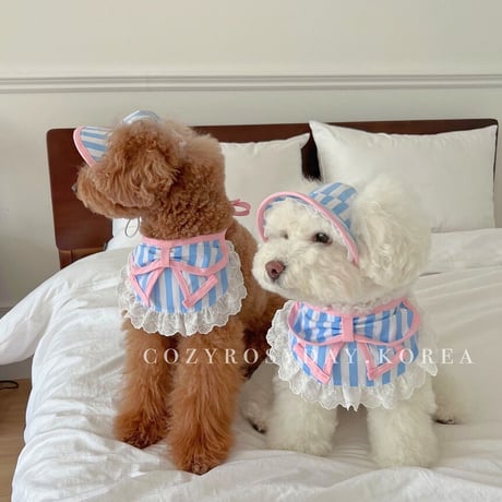 BLUE VANNIRA DOGBIB