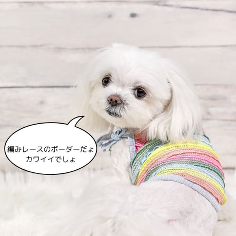 編みボーダーチュニック