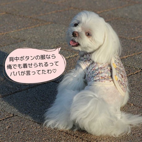 コットンキルト小花柄背中開きベスト