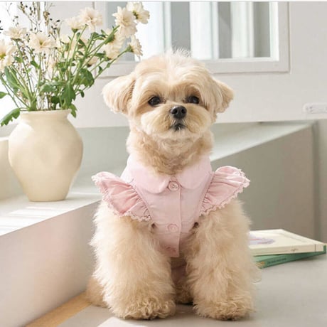 Angel Blouse ( Pink)