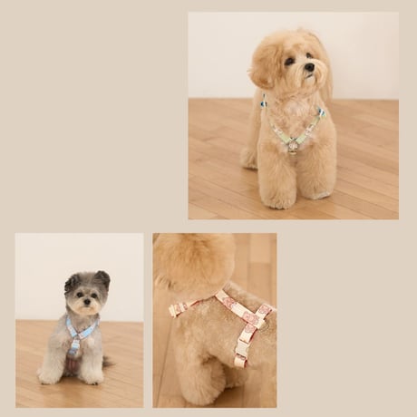 likalika coddly toy H型ハーネス