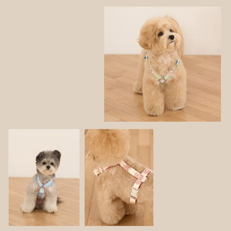 likalika coddly toy H型ハーネス | shubeans_petstyle
