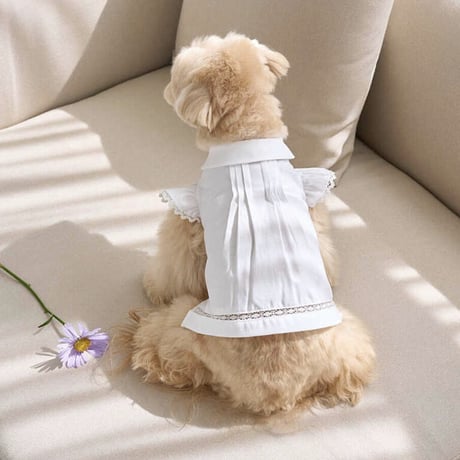 Angel Blouse （White）
