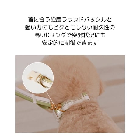 likalika breeze walk collar