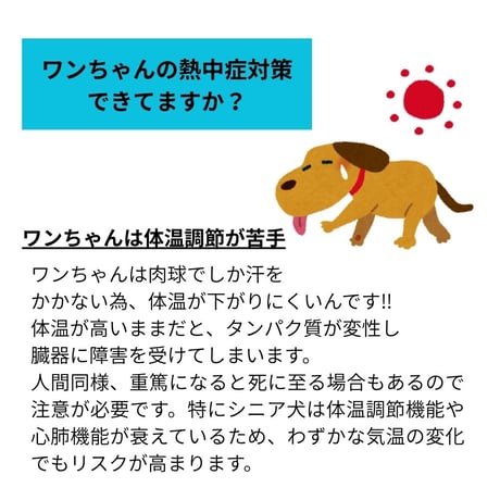 SHUBEANSオリジナル クールネックスヌード ラブリーバージョン