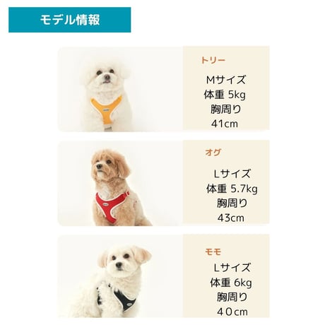 minimizクレヨンフィット ハンズフリーリード