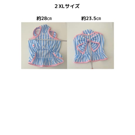 BLUE VANIRA CROP TOP