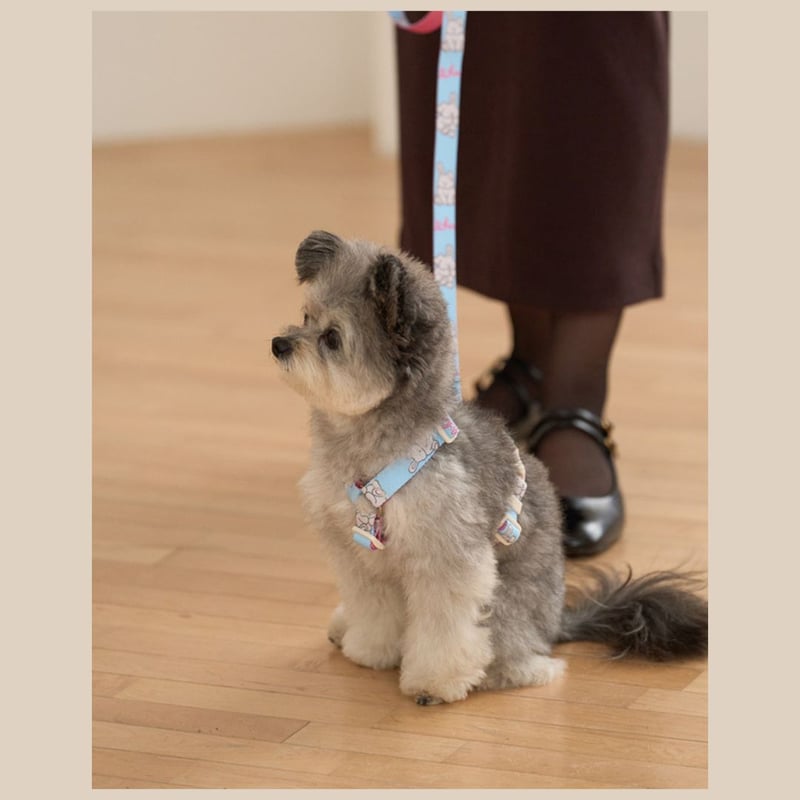likalika coddly toy H型ハーネス | shubeans_petstyle