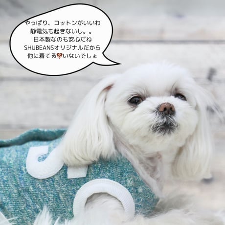 SHUBEANSオリジナル メランジ天竺背中開きトップス