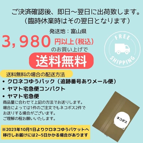 コットンジャガードチェック トップス 背中開き