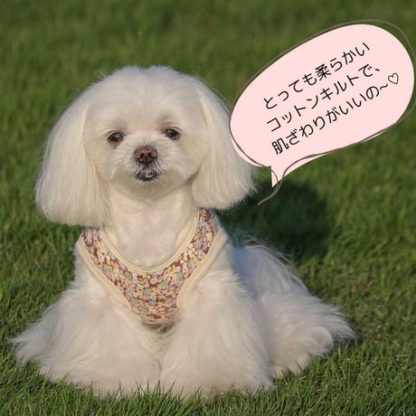 コットンキルト小花柄背中開きベスト