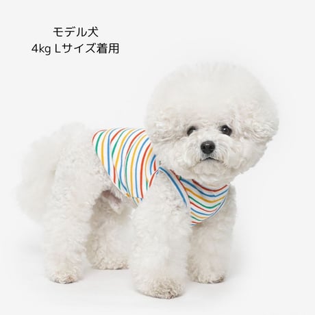 TUSTUSオリジナルボーダータンクトップ