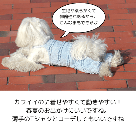 ストレッチレースキャミオール