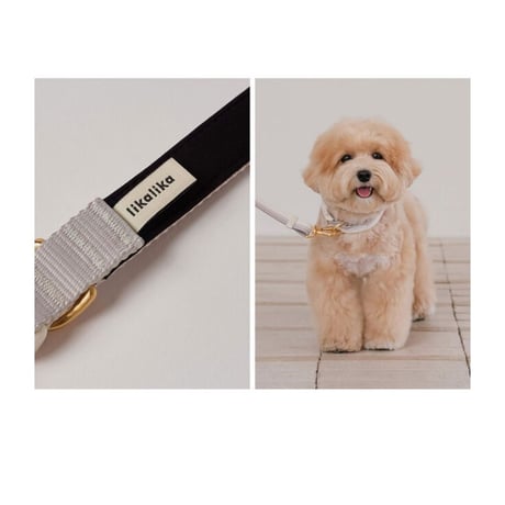 likalika breezs walk handsfree leash