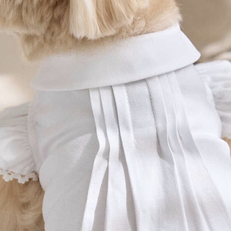 Angel Blouse （White）