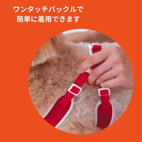 minimizクレヨンフィットハーネス