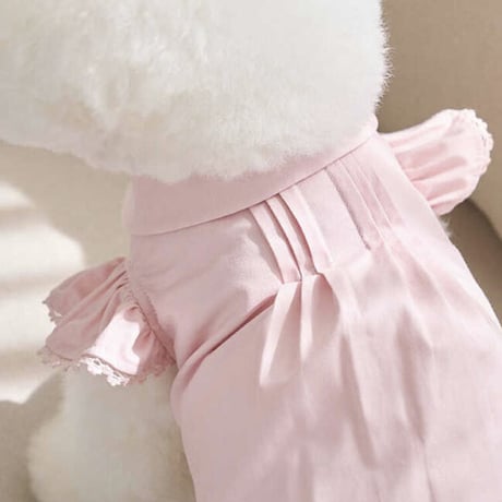 Angel Blouse ( Pink)