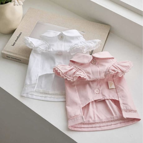 Angel Blouse ( Pink)