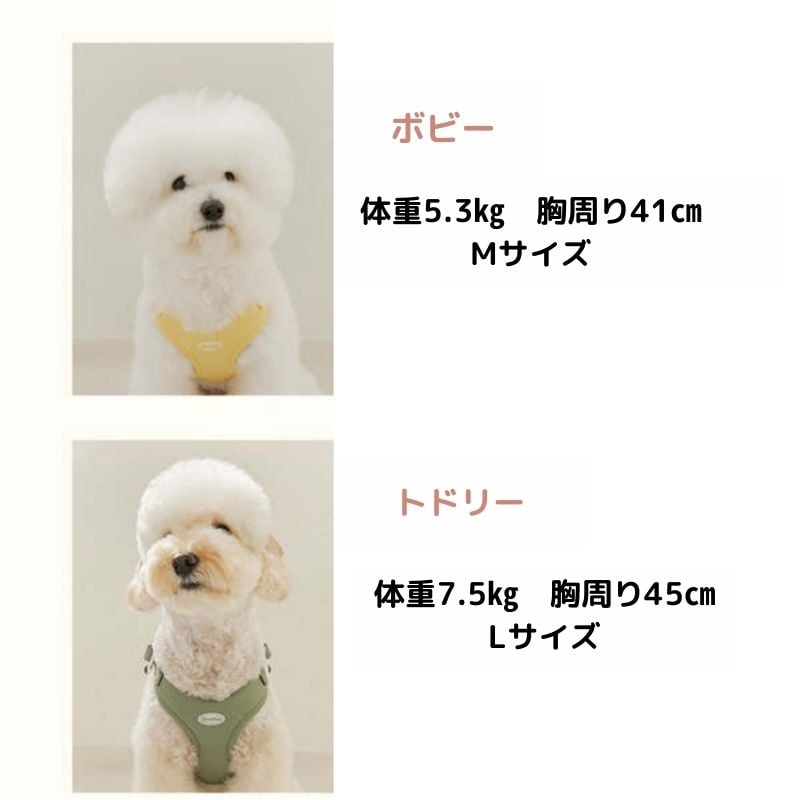 likalikaコットンキャンディカラーハーネス | shubeans_petstyle STORE