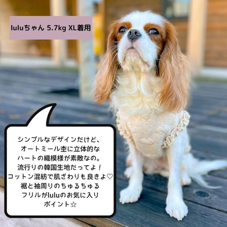 SHUBEANSオリジナル バックオープンハート柄フリルトップス