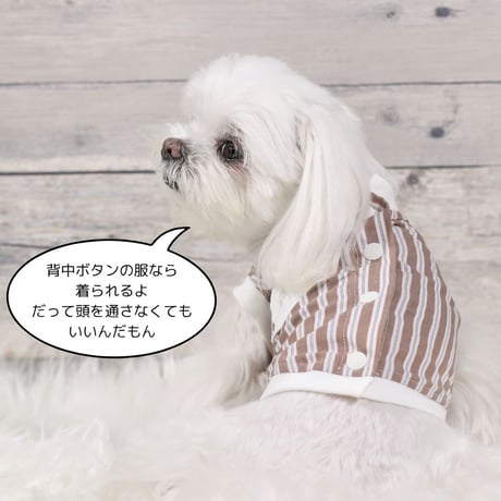 シュービーンズオリジナル　先染めストライプバックオープントップス