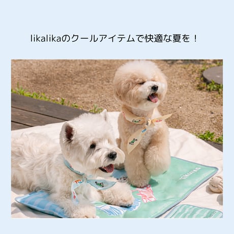 likalikaクールスカーフ