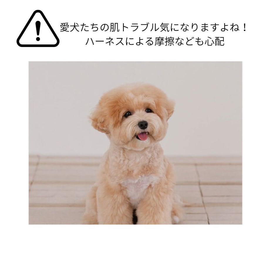 6891846bb8d72e2b36d0f98d