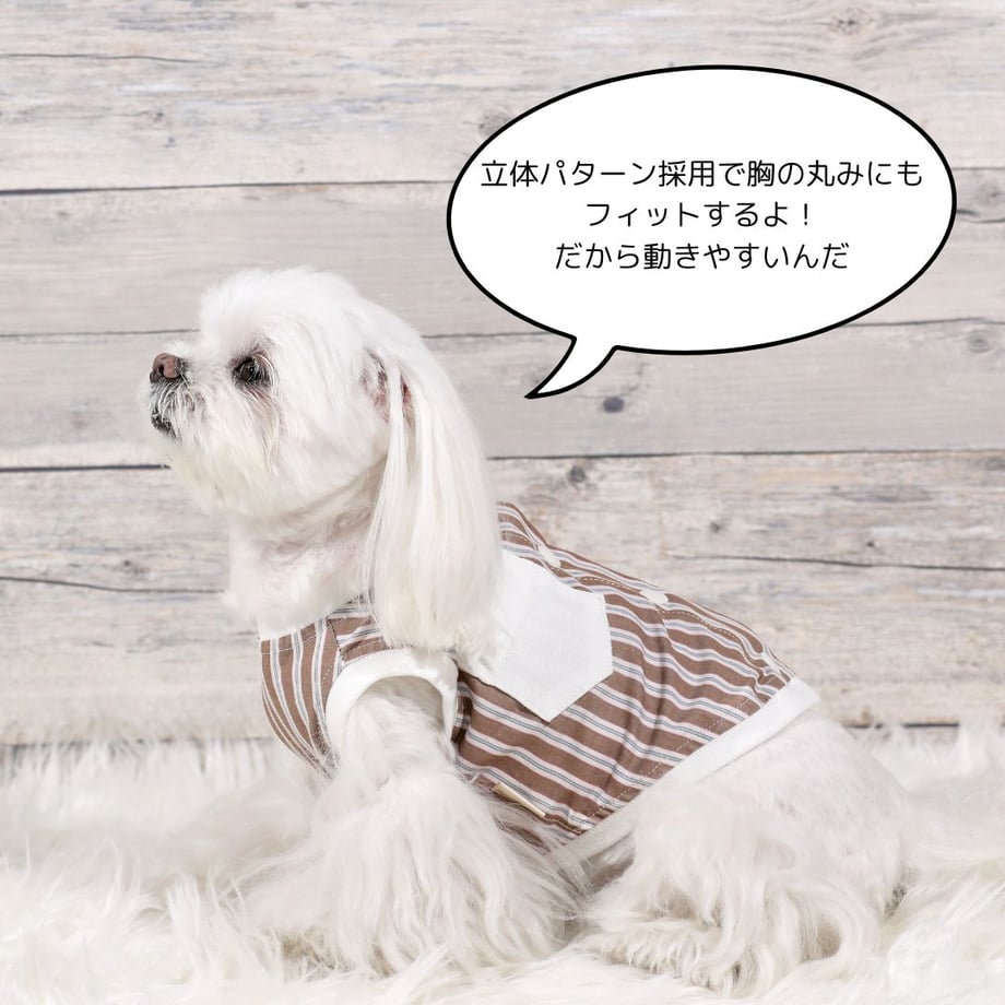 6846e60bd37d859c77517426