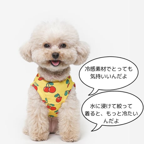 TUSTUSクーリングタンク チェリー柄