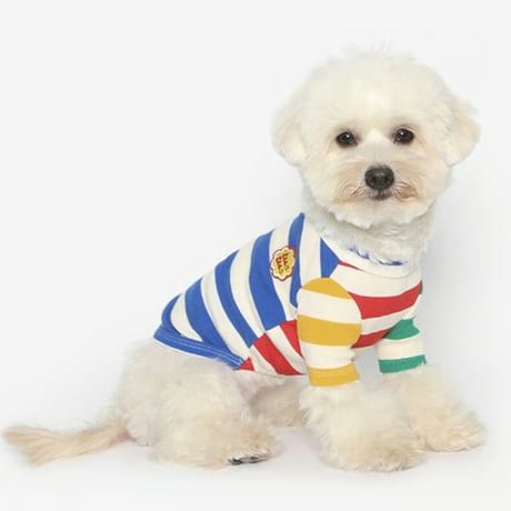 CATEGORY 犬服 | shubeans_petstyle STORE