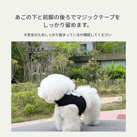 ブラック&ホワイトレース ハーネス