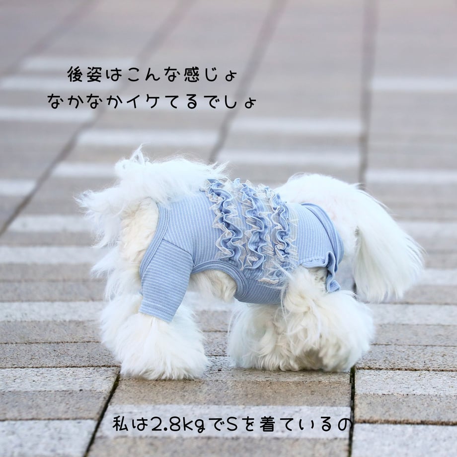 68fc4533818613c52d21b7a5