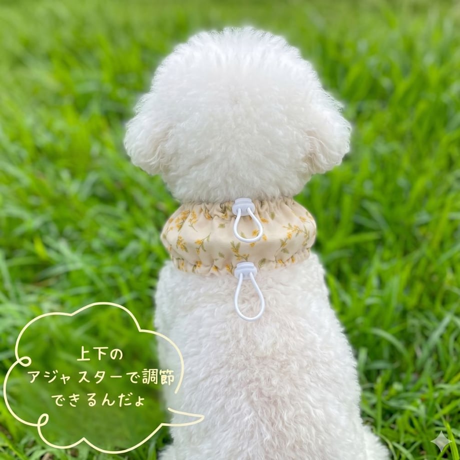 6a13acc6979394ef6850a077