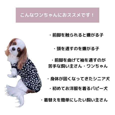 SHUBEANSオリジナル バックオープンレオパード柄ベスト