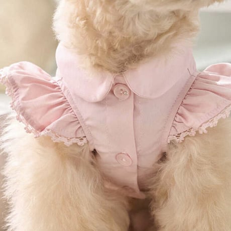 Angel Blouse ( Pink)