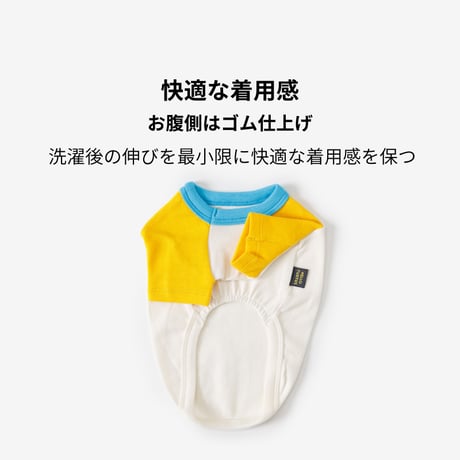TUSTUS カラーブロックラグランTシャツ