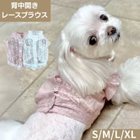 背中開きレースブラウス