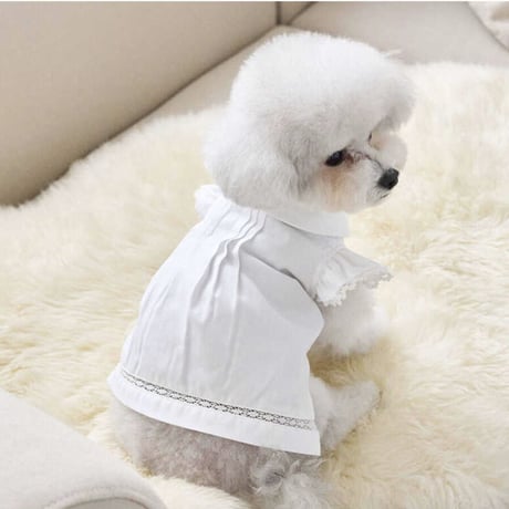 Angel Blouse （White）