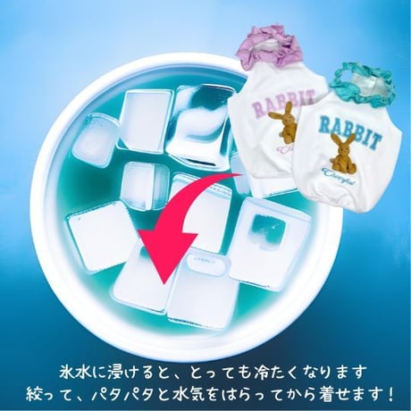 クールラビットフォルターネック