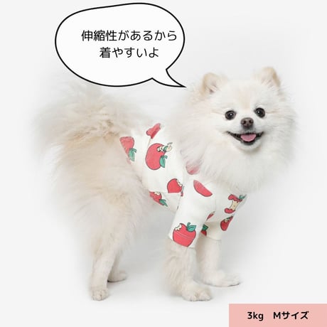 TUSTUS オリジナル  IT’S MY HOME！Tシャツ